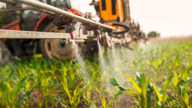 Best Pest Control Near Me in Renville, MN